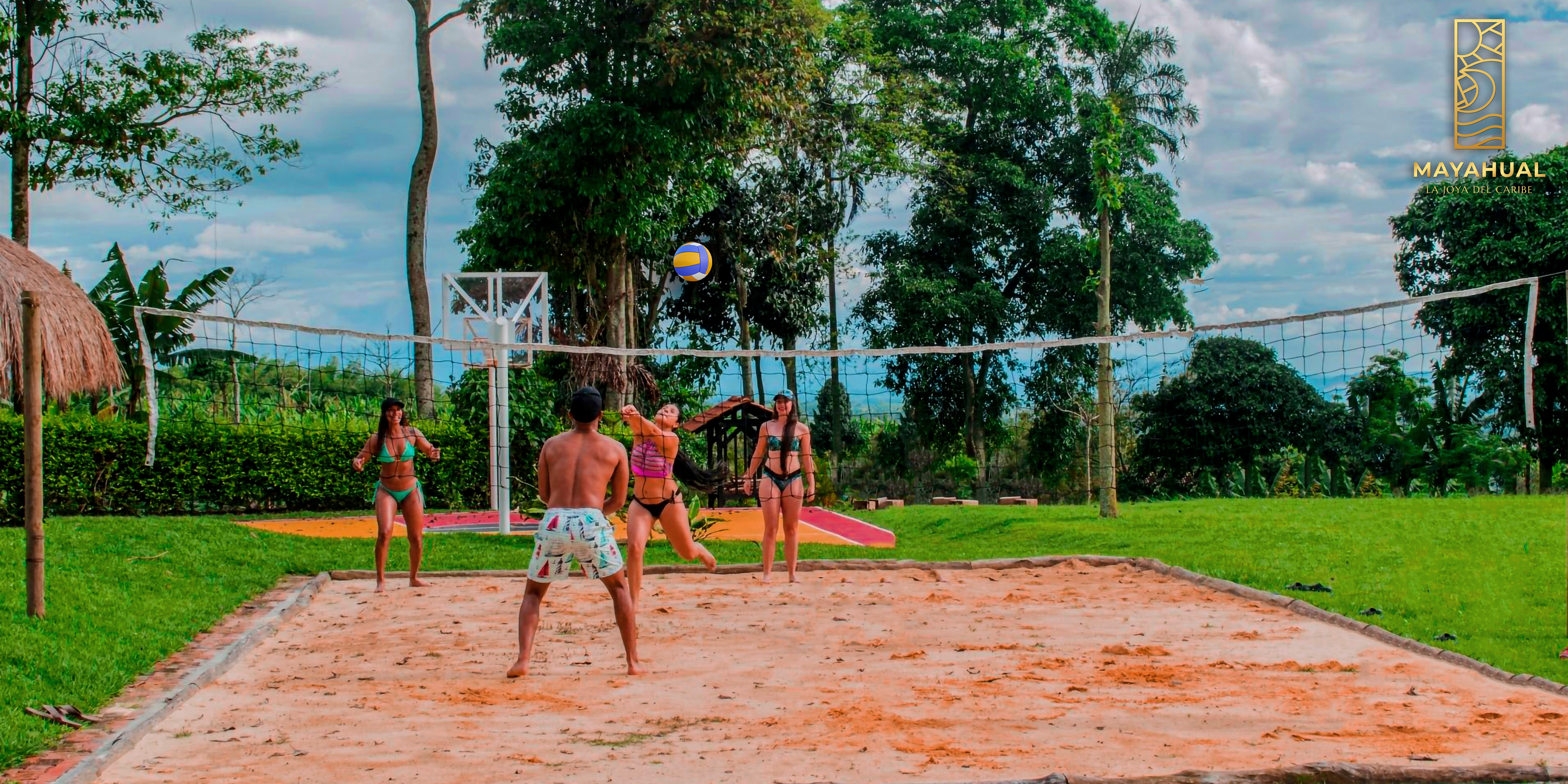 Mayahual